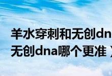 羊水穿刺和無創(chuàng)dna哪個(gè)比較準(zhǔn)（羊水穿刺和無創(chuàng)dna哪個(gè)更準(zhǔn)）