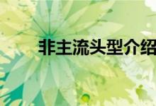 非主流頭型介紹（各自有什么特點(diǎn)）
