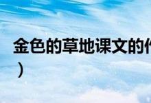 金色的草地課文的作者是誰(shuí)（金色的草地課文）