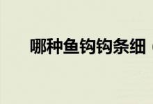 哪種魚鉤鉤條細（魚鉤分為哪些種類）