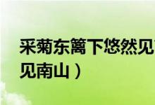 采菊東籬下悠然見(jiàn)南山詩(shī)（采菊東籬下 悠然見(jiàn)南山）