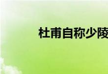 杜甫自稱少陵布衣（杜甫自稱）