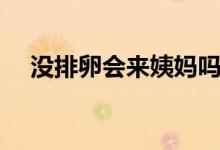 沒排卵會來姨媽嗎（沒排卵會來月經(jīng)嗎）