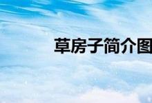 草房子簡(jiǎn)介圖片（草房子簡(jiǎn)介）
