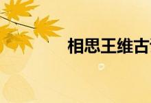 相思王維古詩(shī)（相思 王維）