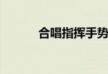 合唱指揮手勢(shì)教程（該怎么做）
