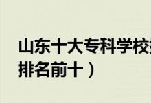 山東十大?？茖W校排名2022（高職高專院校排名前十）