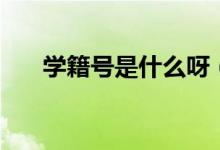 學(xué)籍號(hào)是什么呀（學(xué)籍號(hào)是什么意思）