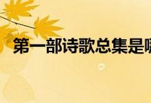 第一部詩(shī)歌總集是哪部（第一部詩(shī)歌總集）