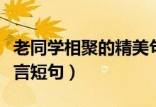 老同學相聚的精美句子有哪些（老同學聚會感言短句）