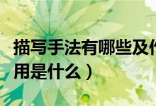 描寫(xiě)手法有哪些及作用（描寫(xiě)手法有哪些及作用是什么）