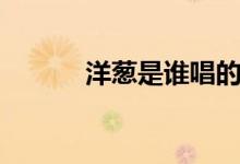 洋蔥是誰(shuí)唱的（洋蔥歌曲介紹）