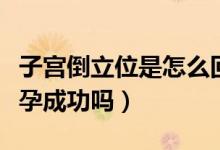 子宮倒立位是怎么回事（子宮后位倒立就會懷孕成功嗎）