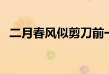 二月春風似剪刀前一句是什么（作者是誰）