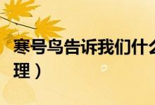 寒號(hào)鳥告訴我們什么（寒號(hào)鳥告訴我們什么道理）