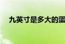 九英寸是多大的蛋糕(九英寸是多少寸)