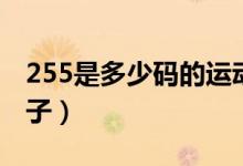 255是多少碼的運動鞋子(255是多少碼的鞋子)
