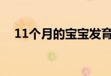 11個月的寶寶發(fā)育標(biāo)準(zhǔn)（需要注意什么）