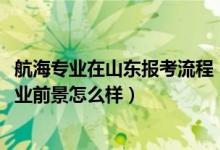 航海專業(yè)在山東報考流程（2022航海技術(shù)專業(yè)就業(yè)方向及就業(yè)前景怎么樣）