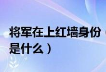 將軍在上紅墻身份(將軍在上紅薔的真實身份是什么)