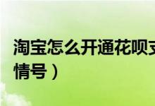 淘寶怎么開通花唄支付功能（淘寶怎么開通親情號(hào)）