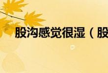 股溝感覺很濕（股溝經(jīng)常濕的怎么回事）
