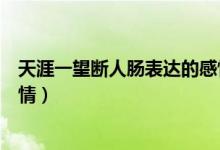 天涯一望斷人腸表達(dá)的感情（斷腸人在天涯斷腸表達(dá)什么感情）