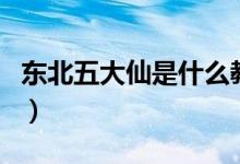 東北五大仙是什么教（東北五大仙是什么動(dòng)物）