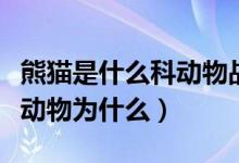 熊貓是什么科動(dòng)物戰(zhàn)斗力怎樣（熊貓是什么科動(dòng)物為什么）