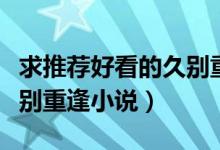 求推薦好看的久別重逢小說(shuō)（有沒(méi)有好看的久別重逢小說(shuō)）