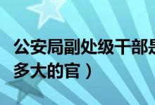 公安局副處級干部是多大的官（副處級干部是多大的官）