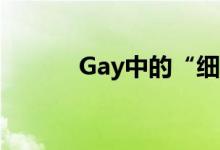 Gay中的“細(xì)?！笔鞘裁匆馑?？