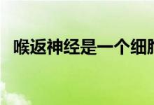 喉返神經(jīng)是一個細(xì)胞嗎（喉返神經(jīng)是什么）