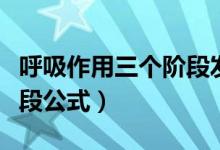 呼吸作用三個(gè)階段發(fā)生地點(diǎn)（呼吸作用三個(gè)階段公式）