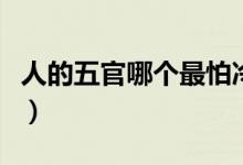 人的五官哪個(gè)最怕冷（五官最怕冷的部位是哪）