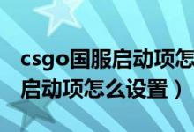 csgo國服啟動項怎么輸入才有用（csgo國服啟動項怎么設(shè)置）