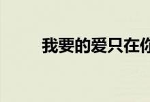 我要的愛只在你身上存在是什么歌