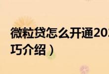 微粒貸怎么開通2020(2020年微粒貸開通技巧介紹)