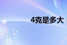4克是多大(4量是多少克)