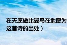 在天愿做比翼鳥在地愿為連理枝一詩寫的是哪個(gè)愛情故事（這首詩的出處）