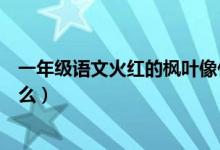 一年級(jí)語(yǔ)文火紅的楓葉像什么（一年級(jí)語(yǔ)文火紅的楓葉像什么）