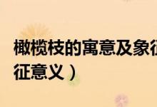 橄欖枝的寓意及象征意義（橄欖枝代表什么象征意義）