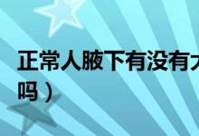 正常人腋下有沒有大汗腺（正常人腋下有味道嗎）