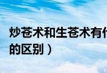炒蒼術和生蒼術有什么不同（炒蒼術和生蒼術的區(qū)別）