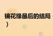 鏡花緣最后的結(jié)局（鏡花緣小說(shuō)的結(jié)局是什么）