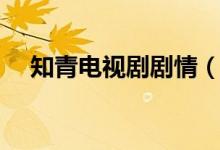 知青電視劇劇情（電視劇知青內(nèi)容簡(jiǎn)介）