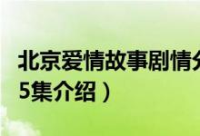 北京愛情故事劇情分集介紹(北京愛情故事1-5集介紹)