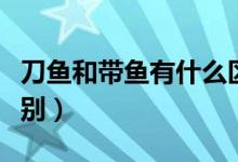 刀魚和帶魚有什么區(qū)別（刀魚和帶魚有什么區(qū)別）