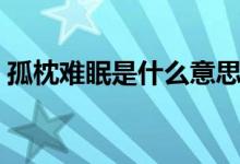 孤枕難眠是什么意思（孤枕難眠是什么生肖）