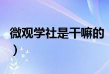微觀學(xué)社是干嘛的（西安微觀學(xué)社是干什么的）